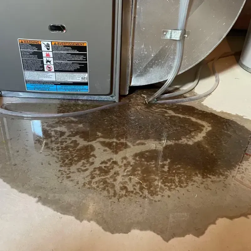 Appliance Leak Cleanup in Del Aire, CA